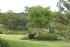 Glenbraeresidential-landscaping-40.jpg; ?>